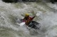 Thumbs/tn_Img_0202.jpg