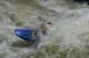 Thumbs/tn_Img_0227.jpg