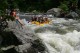 Thumbs/tn_Img_0235.jpg