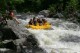 Thumbs/tn_Img_0236.jpg