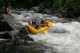 Thumbs/tn_Img_0239.jpg