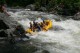 Thumbs/tn_Img_0240.jpg