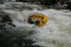 Thumbs/tn_Img_0245.jpg