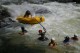 Thumbs/tn_Img_0246.jpg