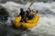 Thumbs/tn_Img_0251.jpg