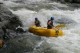 Thumbs/tn_Img_0253.jpg