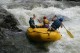 Thumbs/tn_Img_0257.jpg