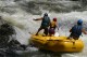 Thumbs/tn_Img_0260.jpg
