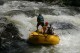 Thumbs/tn_Img_0264.jpg