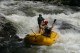 Thumbs/tn_Img_0265.jpg