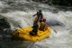 Thumbs/tn_Img_0269.jpg