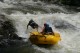 Thumbs/tn_Img_0273.jpg