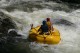 Thumbs/tn_Img_0274.jpg