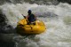 Thumbs/tn_Img_0276.jpg