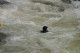Thumbs/tn_Img_0277.jpg