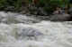 Thumbs/tn_Img_0285.jpg