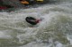 Thumbs/tn_Img_0295.jpg
