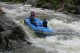 Thumbs/tn_Img_0300.jpg