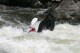 Thumbs/tn_Img_0334.jpg