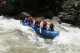 Thumbs/tn_Img_0346.jpg