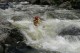 Thumbs/tn_Img_0347.jpg