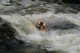 Thumbs/tn_Img_0349.jpg