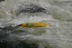 Thumbs/tn_Img_0351.jpg