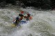 Thumbs/tn_Img_0441.jpg
