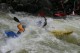 Thumbs/tn_Img_0443.jpg