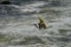 Thumbs/tn_Img_0476.jpg