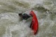 Thumbs/tn_Img_9752.jpg