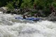 Thumbs/tn_Img_9778.jpg