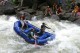Thumbs/tn_Img_9783.jpg