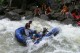 Thumbs/tn_Img_9784.jpg