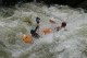 Thumbs/tn_Img_9797.jpg