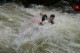 Thumbs/tn_Img_9798.jpg