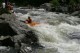 Thumbs/tn_Img_9837.jpg