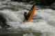 Thumbs/tn_Img_9842.jpg