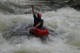 Thumbs/tn_Img_9856.jpg