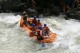 Thumbs/tn_Img_9866.jpg