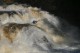 Thumbs/tn_Img_5706.jpg