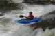Thumbs/tn_Img_1245.jpg