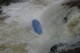 Thumbs/tn_Img_1273.jpg