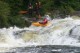 Thumbs/tn_Img_1423.jpg