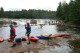 Thumbs/tn_Img_1432.jpg