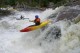 Thumbs/tn_Img_1458.jpg