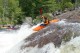 Thumbs/tn_Img_1499.jpg