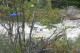 Thumbs/tn_Img_1543.jpg