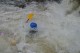 Thumbs/tn_Img_1645.jpg