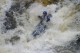 Thumbs/tn_Img_1658.jpg